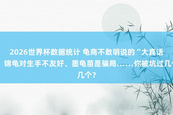 2026世界杯数据统计 龟商不敢明说的“大真话”:锦龟对生手不友好、墨龟苗是骗局……你被坑过几个?