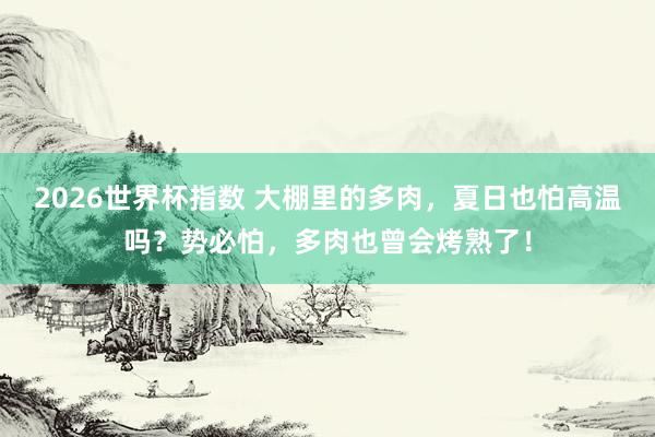 2026世界杯指数 大棚里的多肉,夏日也怕高温吗?势必怕,多肉也曾会烤熟了!