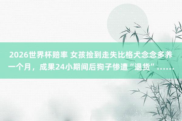 2026世界杯赔率 女孩捡到走失比格犬念念多养一个月,成果24小期间后狗子惨遭“退货”……