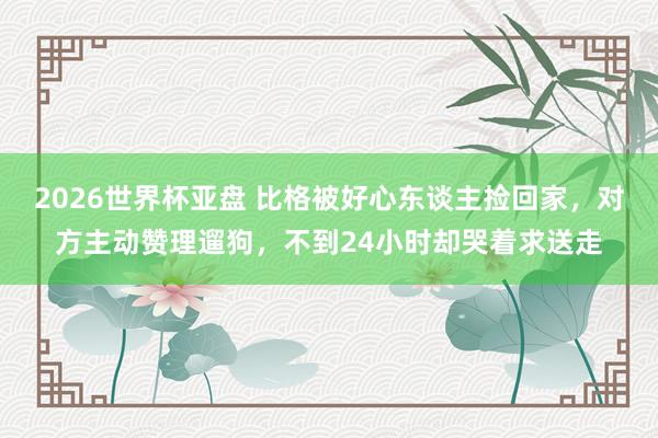 2026世界杯亚盘 比格被好心东谈主捡回家，对方主动赞理遛狗，不到24小时却哭着求送走