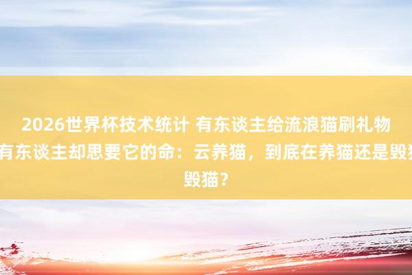 2026世界杯技术统计 有东谈主给流浪猫刷礼物,有东谈主却思要它的命:云养猫,到底在养猫还是毁猫?