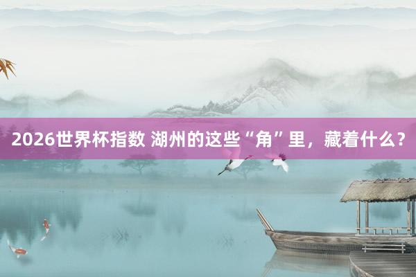 2026世界杯指数 湖州的这些“角”里,藏着什么?