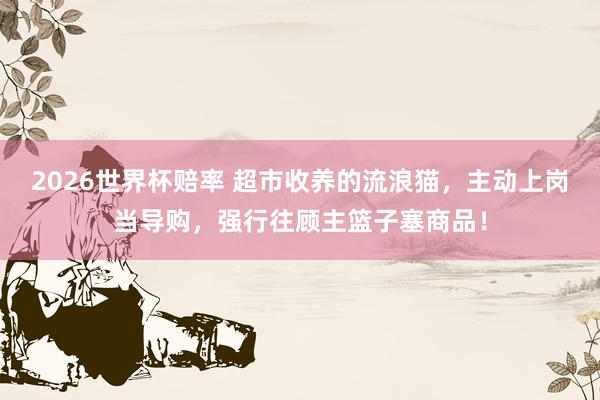 2026世界杯赔率 超市收养的流浪猫,主动上岗当导购,强行往顾主篮子塞商品!