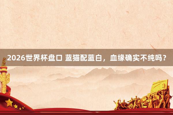 2026世界杯盘口 蓝猫配蓝白,血缘确实不纯吗?