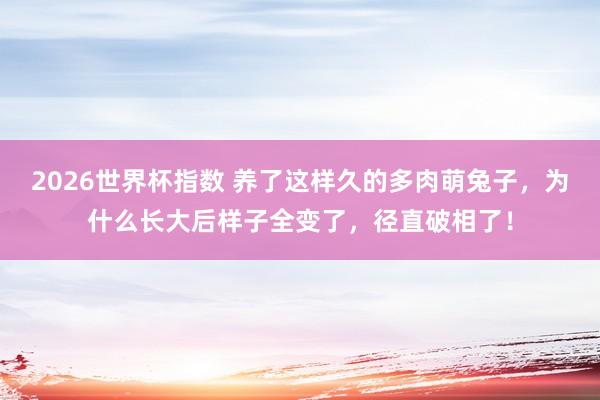 2026世界杯指数 养了这样久的多肉萌兔子,为什么长大后样子全变了,径直破相了!