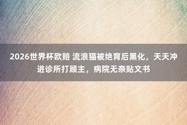 2026世界杯欧赔 流浪猫被绝育后黑化,天天冲进诊所打顾主,病院无奈贴文书
