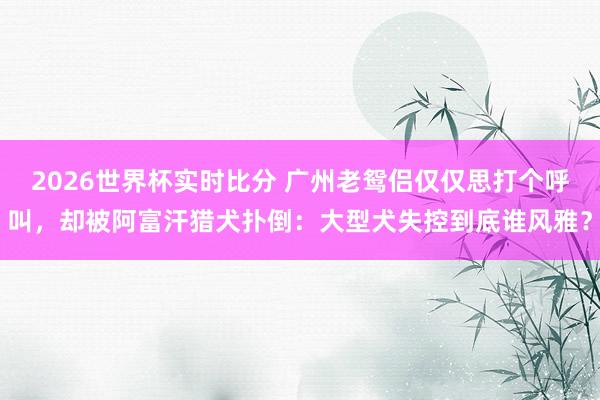 2026世界杯实时比分 广州老鸳侣仅仅思打个呼叫,却被阿富汗猎犬扑倒:大型犬失控到底谁风雅?