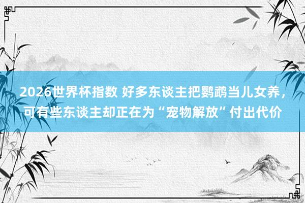 2026世界杯指数 好多东谈主把鹦鹉当儿女养,可有些东谈主却正在为“宠物解放”付出代价