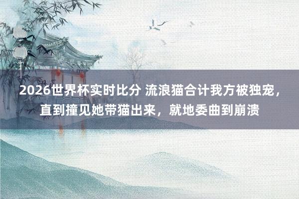 2026世界杯实时比分 流浪猫合计我方被独宠,直到撞见她带猫出来,就地委曲到崩溃