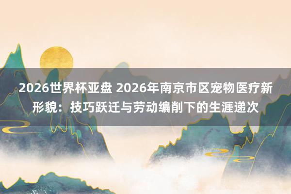 2026世界杯亚盘 2026年南京市区宠物医疗新形貌:技巧跃迁与劳动编削下的生涯递次