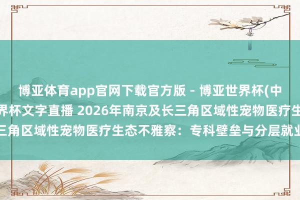 博亚体育app官网下载官方版 - 博亚世界杯(中国)官方入口，2026世界杯文字直播 2026年南京及长三角区域性宠物医疗生态不雅察：专科壁垒与分层就业智力评估