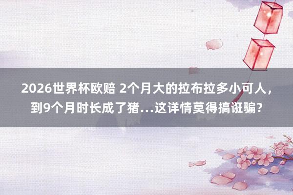 2026世界杯欧赔 2个月大的拉布拉多小可人,到9个月时长成了猪…这详情莫得搞诳骗?