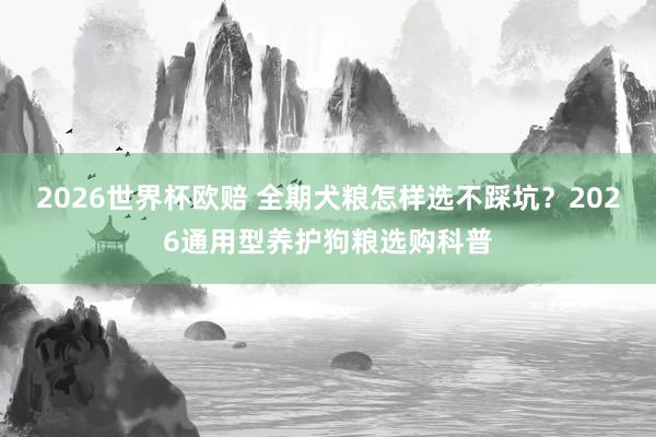 2026世界杯欧赔 全期犬粮怎样选不踩坑?2026通用型养护狗粮选购科普