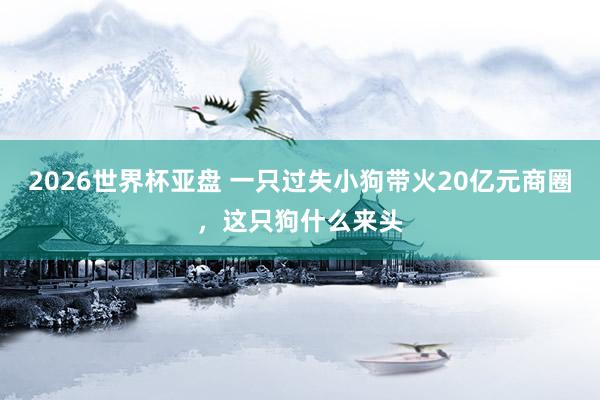 2026世界杯亚盘 一只过失小狗带火20亿元商圈,这只狗什么来头