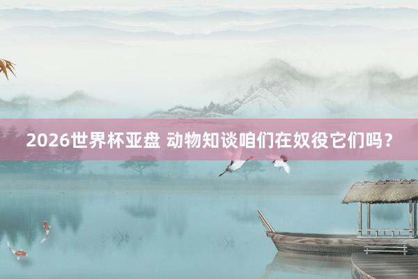 2026世界杯亚盘 动物知谈咱们在奴役它们吗?