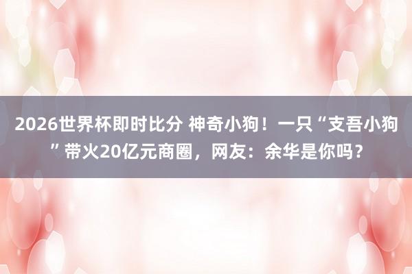 2026世界杯即时比分 神奇小狗!一只“支吾小狗”带火20亿元商圈,网友:余华是你吗?