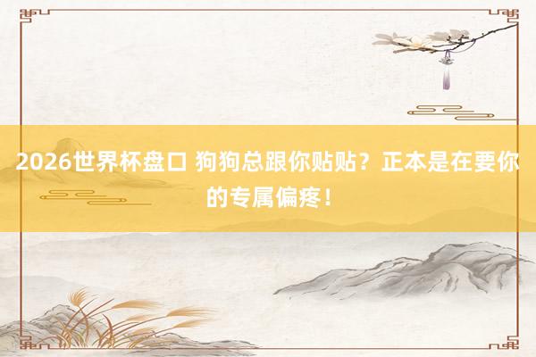 2026世界杯盘口 狗狗总跟你贴贴?正本是在要你的专属偏疼!