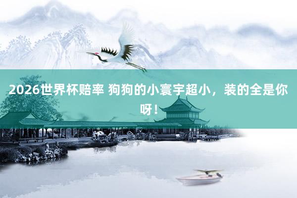 2026世界杯赔率 狗狗的小寰宇超小,装的全是你呀!