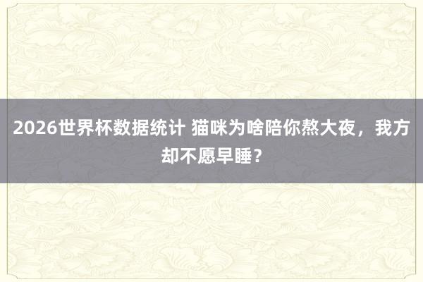 2026世界杯数据统计 猫咪为啥陪你熬大夜,我方却不愿早睡?
