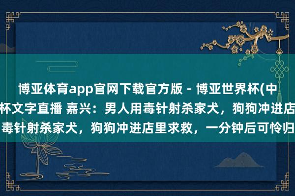 博亚体育app官网下载官方版 - 博亚世界杯(中国)官方入口,2026世界杯文字直播 嘉兴:男人用毒针射杀家犬,狗狗冲进店里求救,一分钟后可怜归天