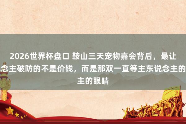 2026世界杯盘口 鞍山三天宠物嘉会背后，最让东说念主破防的不是价钱，而是那双一直等主东说念主的眼睛