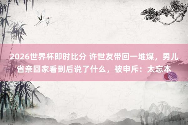 2026世界杯即时比分 许世友带回一堆煤,男儿省亲回家看到后说了什么,被申斥:太忘本