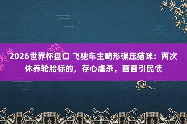 2026世界杯盘口 飞驰车主畸形碾压猫咪：两次休养轮胎标的，存心虐杀，画面引民愤