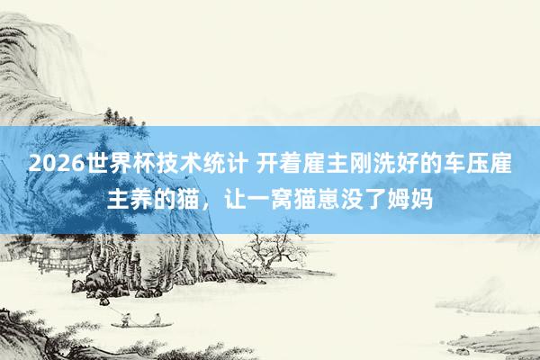 2026世界杯技术统计 开着雇主刚洗好的车压雇主养的猫,让一窝猫崽没了姆妈