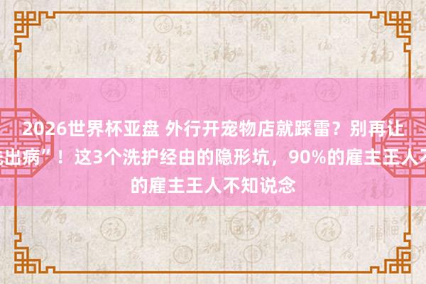2026世界杯亚盘 外行开宠物店就踩雷?别再让猫咪“洗出病”!这3个洗护经由的隐形坑,90%的雇主王人不知说念
