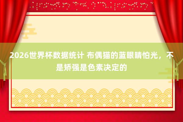 2026世界杯数据统计 布偶猫的蓝眼睛怕光,不是矫强是色素决定的