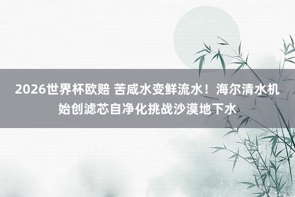 2026世界杯欧赔 苦咸水变鲜流水!海尔清水机始创滤芯自净化挑战沙漠地下水