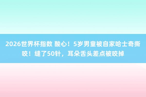 2026世界杯指数 酸心!5岁男童被自家哈士奇撕咬!缝了50针,耳朵舌头差点被咬掉