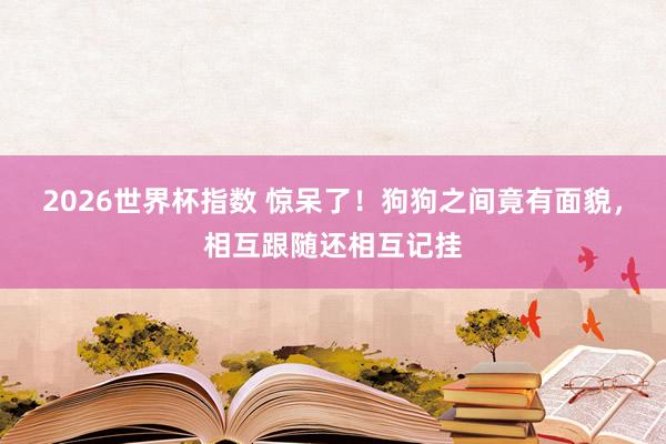 2026世界杯指数 惊呆了!狗狗之间竟有面貌,相互跟随还相互记挂