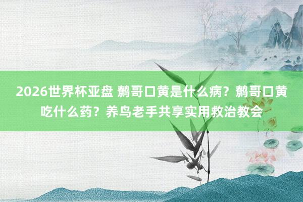 2026世界杯亚盘 鹩哥口黄是什么病?鹩哥口黄吃什么药?养鸟老手共享实用救治教会