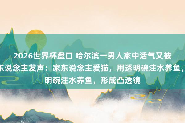 2026世界杯盘口 哈尔滨一男人家中活气又被浇灭,当事东说念主发声:家东说念主爱猫,用透明碗注水养鱼,形成凸透镜