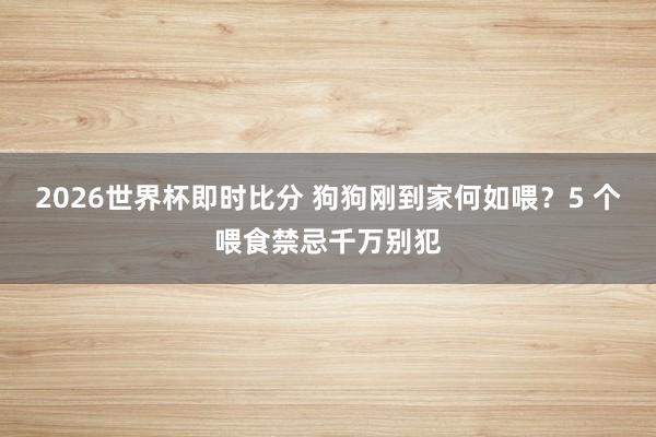 2026世界杯即时比分 狗狗刚到家何如喂?5 个喂食禁忌千万别犯