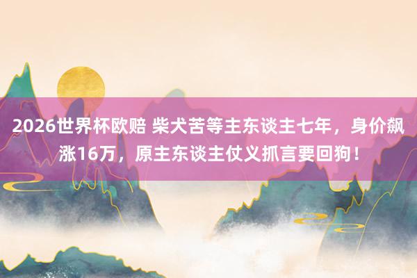 2026世界杯欧赔 柴犬苦等主东谈主七年,身价飙涨16万,原主东谈主仗义抓言要回狗!