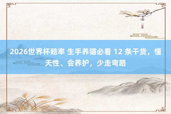 2026世界杯赔率 生手养猫必看 12 条干货,懂天性、会养护,少走弯路