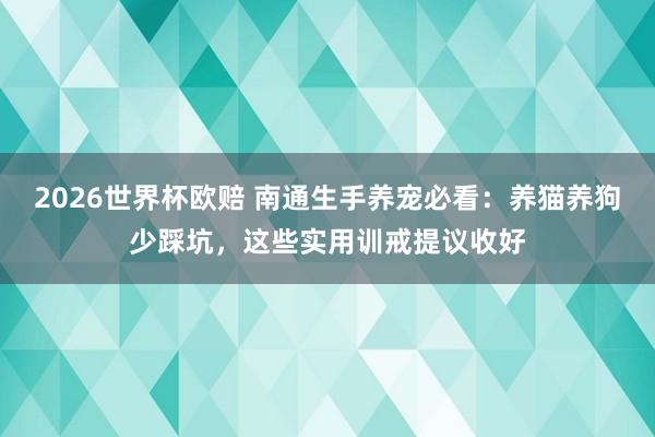 2026世界杯欧赔 南通生手养宠必看:养猫养狗少踩坑,这些实用训戒提议收好