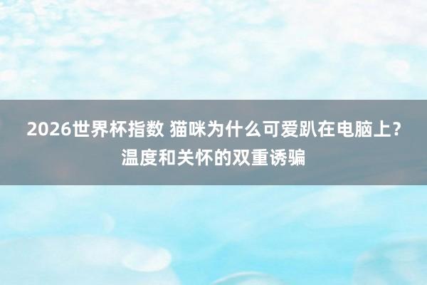2026世界杯指数 猫咪为什么可爱趴在电脑上?温度和关怀的双重诱骗