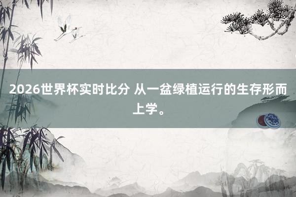 2026世界杯实时比分 从一盆绿植运行的生存形而上学。