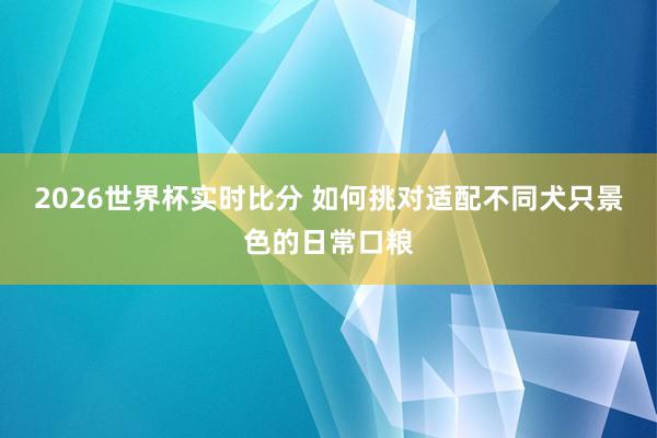 2026世界杯实时比分 如何挑对适配不同犬只景色的日常口粮