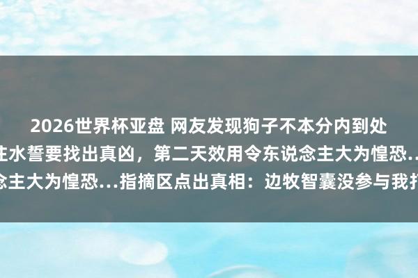 2026世界杯亚盘 网友发现狗子不本分内到处造穴,气得径直往洞内注水誓要找出真凶,第二天效用令东说念主大为惶恐…指摘区点出真相:边牧智囊没参与我打死皆不信…