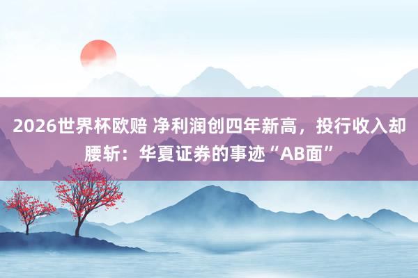 2026世界杯欧赔 净利润创四年新高,投行收入却腰斩:华夏证券的事迹“AB面”