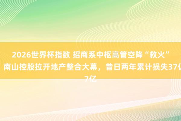 2026世界杯指数 招商系中枢高管空降“救火”,南山控股拉开地产整合大幕,昔日两年累计损失37亿