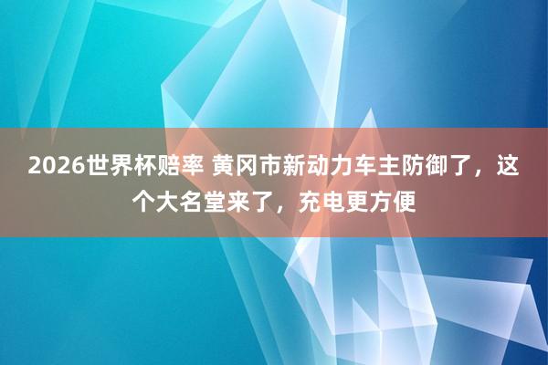 2026世界杯赔率 黄冈市新动力车主防御了,这个大名堂来了,充电更方便