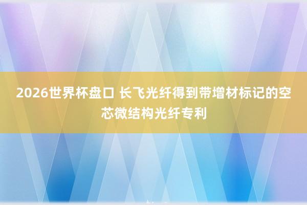 2026世界杯盘口 长飞光纤得到带增材标记的空芯微结构光纤专利
