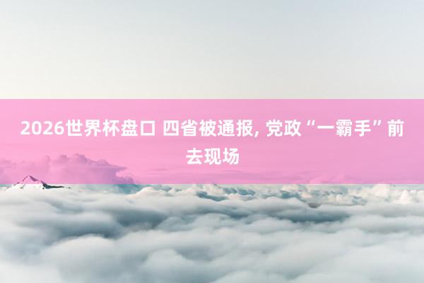 2026世界杯盘口 四省被通报, 党政“一霸手”前去现场