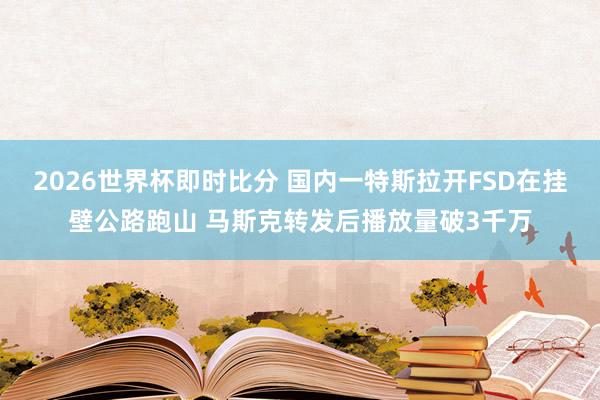 2026世界杯即时比分 国内一特斯拉开FSD在挂壁公路跑山 马斯克转发后播放量破3千万