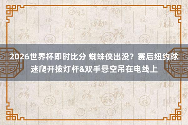 2026世界杯即时比分 蜘蛛侠出没？赛后纽约球迷爬开拔灯杆&双手悬空吊在电线上